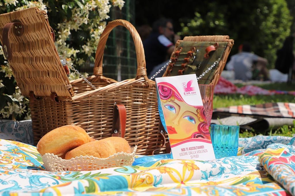 IL SUCCESSO DEL PIC NIC 